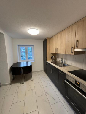 Apartment for Ski Lovers